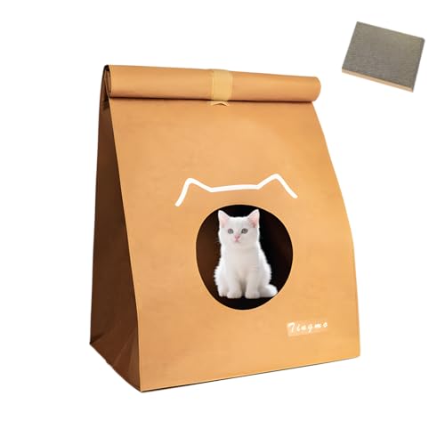 [GIIPET]LnEX ybgnEX ܂Ƃ1t GRfނŐ􂦂 Lpxbh ʋC  đ΍ lGʗp  L ϊ DIY JX^}CYł ܂Ƃt S̔L/^ 