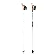 Nordic Walking Stöcke Swix Trekkingstöcke CT3 White Carbon