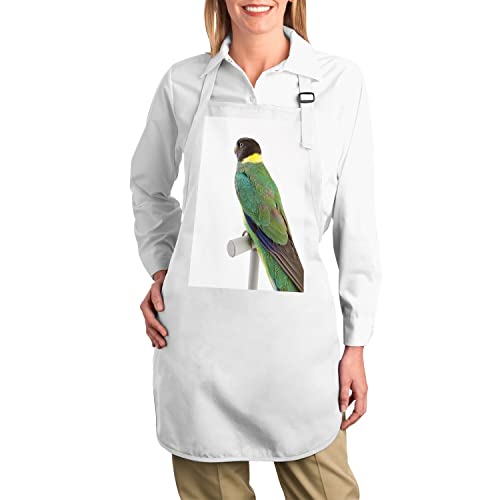 Tablier cuisine oiseau exotique perchoir western ring neck