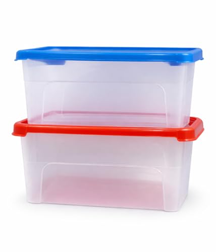 Image of Clear Storage Box (Pack of 2, Large) | 100% Virgin Plastic | Transparent, Stackable Organiser for Jewelry, Beads, Sewing,Medicines & More | Portable Design(Red /Blue /Yellow)