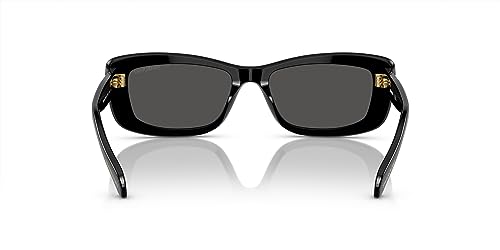 Swarovski Women's Sk6008 Square Sunglasses4