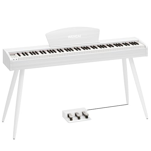 WENCAI dqsAm 88 n}[ANbV ؐfUC S q KsAm MIDI[qΉ 3{y_ X^h A_v^[t {