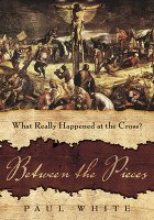 Between the Pieces: What Really Happened at the Cross? 0989541908 Book Cover