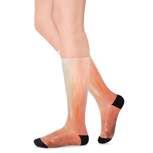 Women's Mid-Calf Socks Abstract Girl Knee High Socks Silky Soft Thin Material,Girl Tall Boot Socks 1 Pairs4