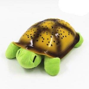 tortoise night light