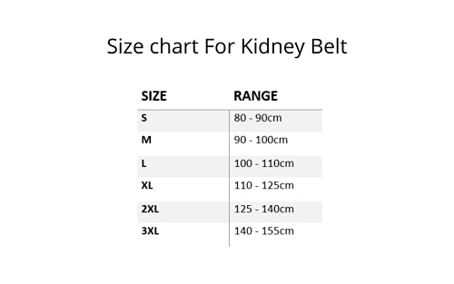 BLACKWILD - Cintura lombare per moto, unisex