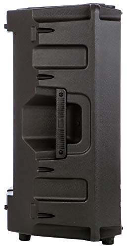 image for Alphasonik PRO 15