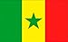 Produktbild FRIP- XXL Riesenfahne Senegal FAN 2,50 x 1,50m Flagge Fahnen mit Ösen