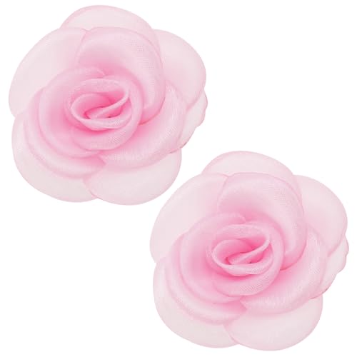 ECSiNG 2Pcs Rose Flower Shoe Clips and Buckles - Decorative Charms Removable Accessories for Women Lady Girls - 6.5cm Pink by ECSiNG - Used condition - US$5.66