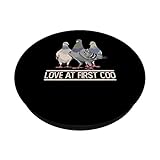 Zoom IMG-1 amore al primo coo pigeon Zoom IMG-1 amore al primo coo pigeon