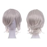 パンプキンパレード ウィッグ 3点SET ショート ウルフ フル ヘアネット スタンド付 プラチナシルバー