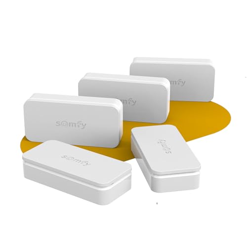 Somfy 2401488 - Pack de 5 IntelliTAG - Détecteurs Auto-protégés de Vibration pour intérieur ou...