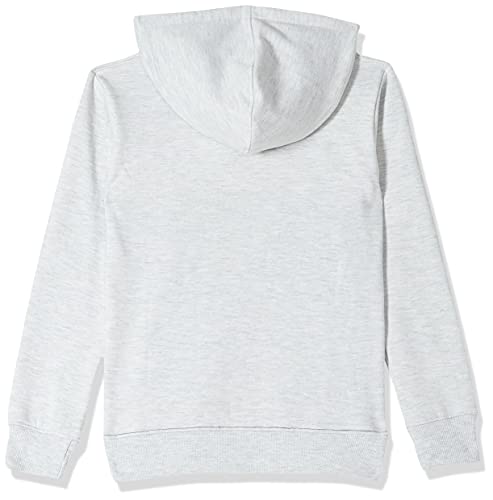 Image of PCF Champ CNS Hoodie,Grey Mel,11-12