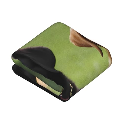 Couverture lit et canapé labrador plaid chaud léger durable 203x152 cm - 3