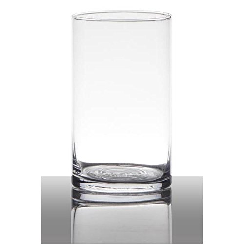 Hakbijl Dekoglas, Vase Zylinder H. 15cm D. 9cm transparent rund Glas Cover