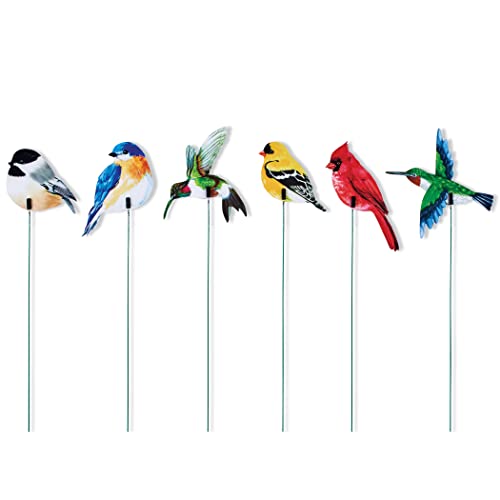 Collections Etc Colorful Bird Decorative Garden Stakes - Set Of 24 #TOP2