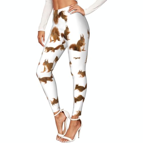 Leggings de ardilla para mujer suaves pantalones de deporte y senderismo