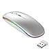 GeekerChip Mouse Bluetooth Ricaricabile,Mouse Wireless Silenzioso,Mouse Senza Fili a Due Modalità (Bluetooth 5.1+2.4G),3 Livelli DPI(800/1200/1600) Regolabili per PC(Argento)