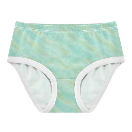 Joisal Durable Toddler Underwear Floral 2t Cotton Panties Little Girl Chic Pastel Green Teal Briefs Underpants