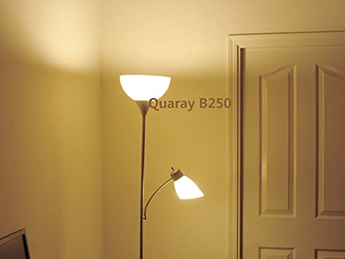 Quaray 10 Inch Plastic Bowl Lamp Shade For Torchiere Floor Lamp, White, B250 #TOP3