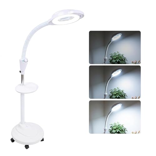 Lampada Estetista Piantana con Lente Ingrandimento 8x Lampada Da Terra Dimmerabile, Lampada Pieghevole Retrattile a 360 Gradi per Extension Ciglia, Tatuaggi, Cura Della Pelle, Nail(EU)