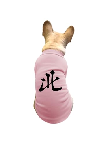 ���� �k ���� �y�b�g�� T�V���c �H�~ �g���[�i�[ �L�� �h�� �g���� �J�W���A�� ������� ������ ���[���E�F�A ���� �E�ѕی� ���o���� �U�� XL