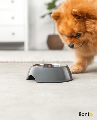 lionto Futternapf aus Melamin mit Anti-Rutsch Boden, herausnehmbarer 210 ml Napf aus robustem & geruchsneutralem Edelstahl, leicht zu reinigen, ergonomisches Design, für Hunde & Katzen, grau
