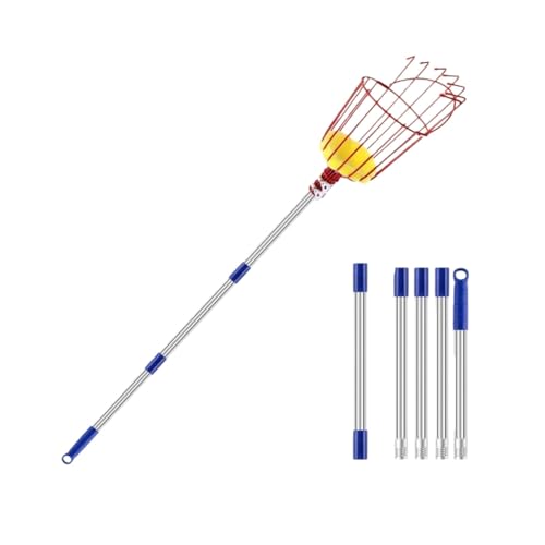 jsdskw Lk `  ʕ `_ t[csbJ[ y ʕn oXPbg |p ʎp _ ʕlJS p 4m (2mi5߁j) [sAi]