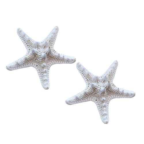 Toyvian 2 Piezas Adornos de Mar White del Hogar y Galería, Accesorios Marinos de Material Natural para Ambiente Marinero Varios Estilos