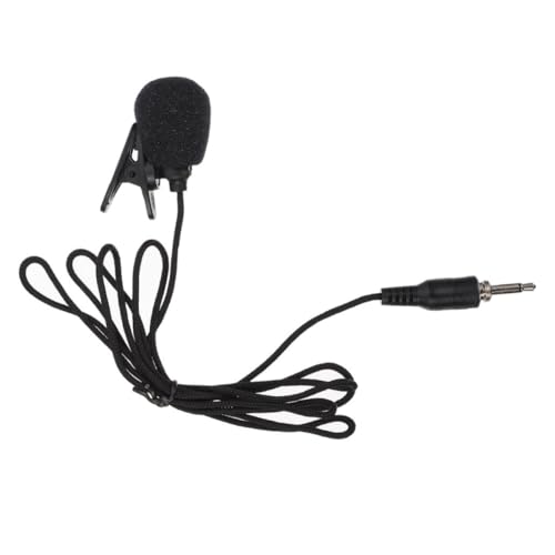 Abaodam Professional Lapel Microphone Phone Condenser Mic for Recording Compact Portable