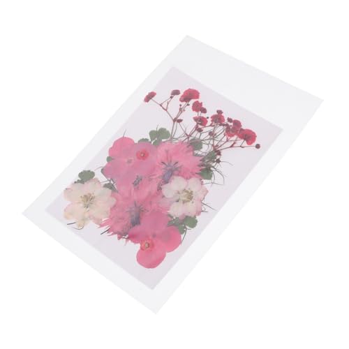 30 flores secas prensadas mixtas para manualidades