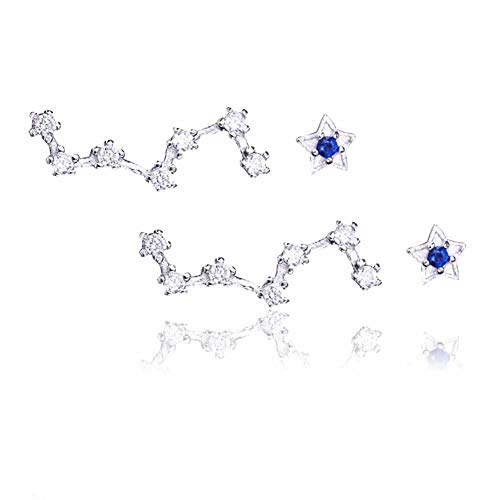 Preisvergleich Produktbild Ohrringe Damen Ohrstecker 925 Sterling Silber Ohrschmuck Set für Frauen