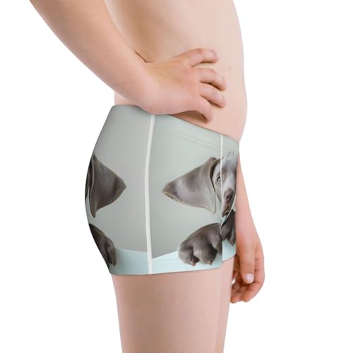 Boys' Cotton Boxer Brief Soft Underwear-Adorable Puppy Portrait2