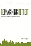 Reimagining Detroit: Opportunities for Redefining an American City (Painted Turtle)