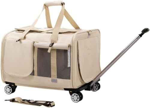 Ornatego L2CpL[P[Xbʉ@EЊQΉbʋCEeʁbjo[TzC[tybgL[bsEԍځELX^[tL[obO (x[W)