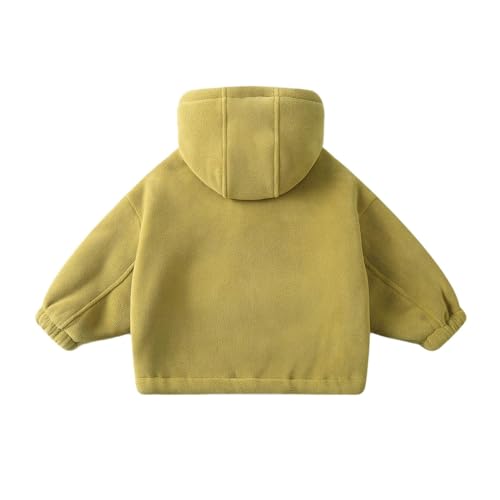 Boys' Zip Up Hoodie Sweatshirt Children's Autumn Children's Hoodie Boys And Girls Hooded And with Lightweight2