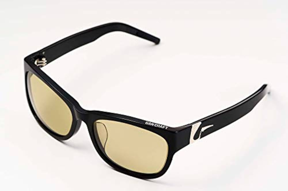 Amazon | ガンクラフト シールドアイ 偏光グラス 2020モデル