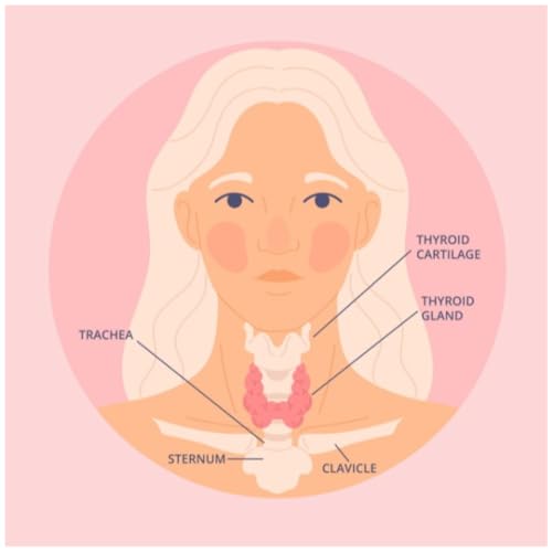 Getting My Throat Cut &mdash; A Calm Thyroidectomy Tale: My experience with thyroid removal on the NHS