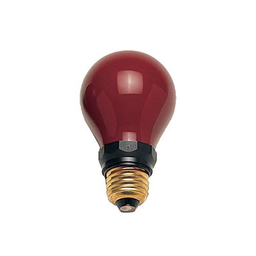 Kaiser 4227 - Bombilla para Cuarto Oscuro (230 V, 15 W), Rojo