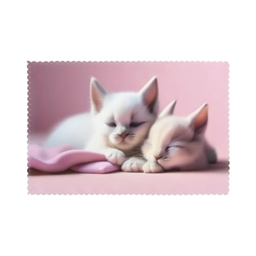 Poezjzw Set di 6 tovagliette con motivo di gattini che dormono 2 pezzi, 30,5 x 45,7 cm, per feste, cucina, sala da pranzo