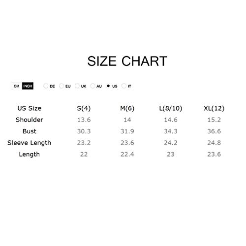 MIZOK Women's Long Sleeve See Through Shirts Dragon Printed Mesh Crop Tops Tee (L,Blue)