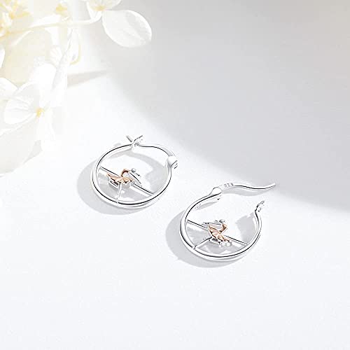 Hypoallergenic Dance Earrings For Girls Sterling Silver Ballerina Huggie Hoop Earrings For Sensitive Ears Ballet Dancer Gifts For Women Daughter #TOP2