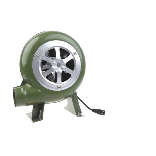 MWCEKDMUG Soplador Multiusos De 100 V Y 220 V, 40/60/80 W, CC 3-12 V, Pequeño Ventilador, Gasificador, Regulación De Velocidad, Hierro Duradero, Estilo Antiguo.(40W)