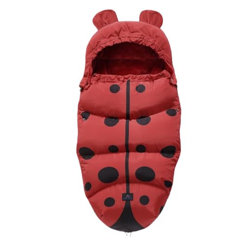 XVVXcpQ܁Axr[Q܁AŃt[X̗ntAxr[J[X^CAє̋ݕtA~͒gďRɂAĕ̃xr[uPbgBt@[J[A~̒gALbNv[tA (K1)