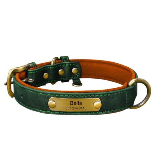 p ^p x[VbNXgbv 背U[ WցiMj (O[)