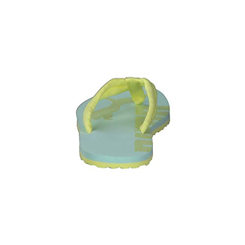 Image of PUMA Epic Flip V2 Synthetic Slipon Womens Athleisure Flip Flops