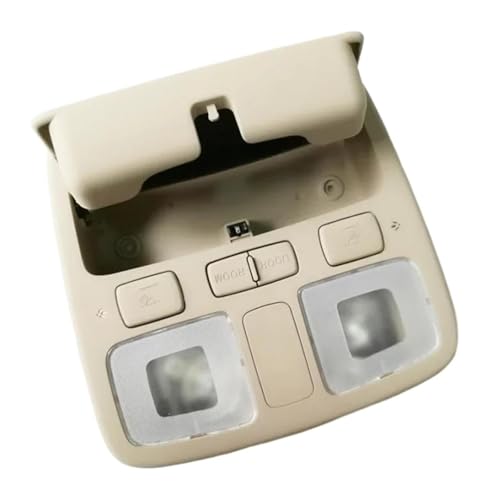 Lámpara de techo para coche con luces de lectura Hyundai Accent 2007 2008