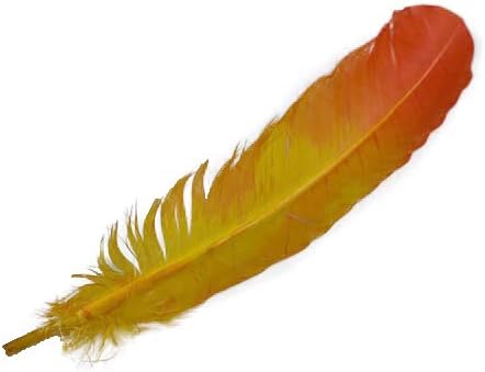 ZUCKER Two Tone Ombré Tipped Turkey Quill Feathers 10-12” 2 PC Feathers for Carnival, Dyed Feathers for DIY - Pink Orient/G