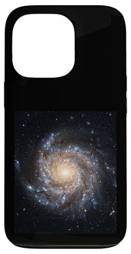 �X�p�C������͍\���V���w�V�̕����w�R���Z�v�g �X�}�z�P�[�X iPhone 13 Pro �p
