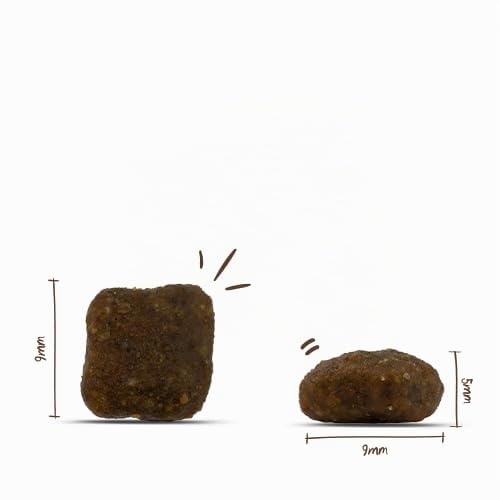 SanaBelle Outdoor | Katzentrockenfutter für ausgewachsene Katzen (ab dem 12. Monat)… – Ansicht 3
